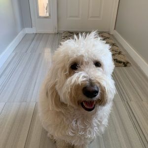 Meet your Posher, Edward